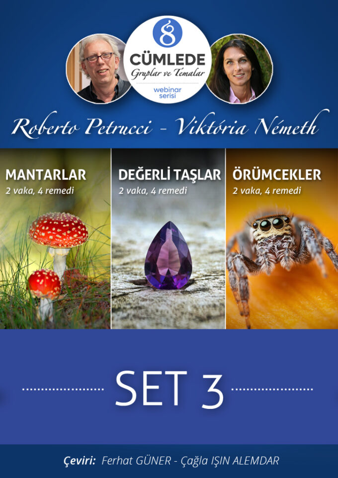 8 Cümlede Gruplar ve Temalar: Set  3