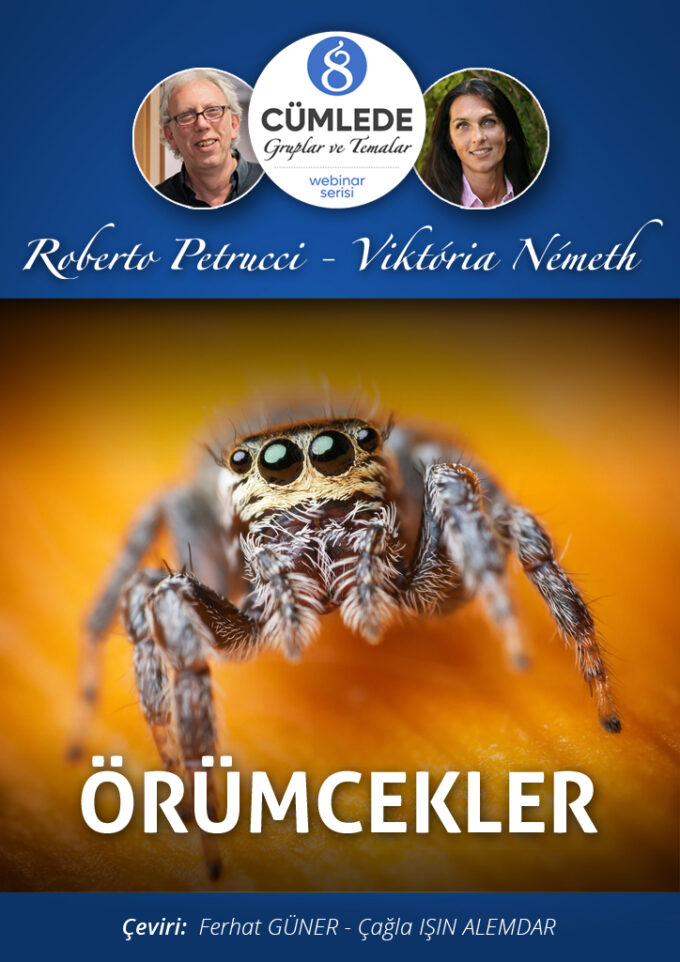 8 Cümlede Gruplar ve Temalar: Set  3 - Görsel 4